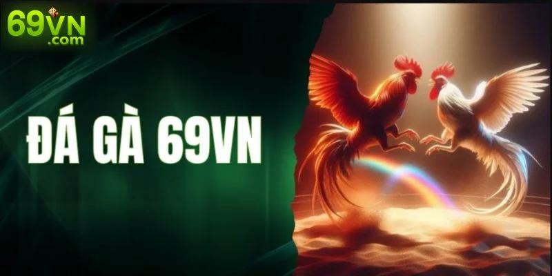 69VN travel Đi Du Lịch Vòng Quanh Trái Đất Toàn Cùng 69Vn Đá gà là sảnh chơi không thể bỏ qua cho những tín đồ đam mê môn thể thao “chọi kê”.
